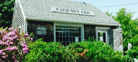 Cataumet Fish