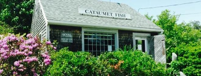 Cataumet Fish