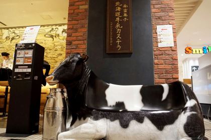 Hokkaido Milk Castella