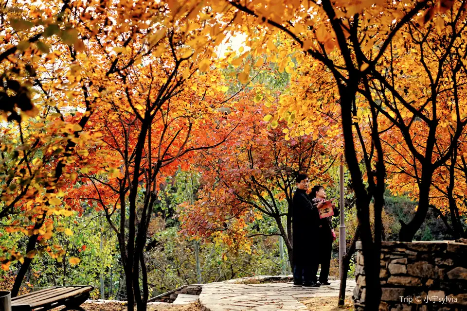 4_Pofeng Ridge