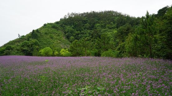 半岛绿道骑行全程7.8公里，沿途都是滨湖独立景观绿道，往返大