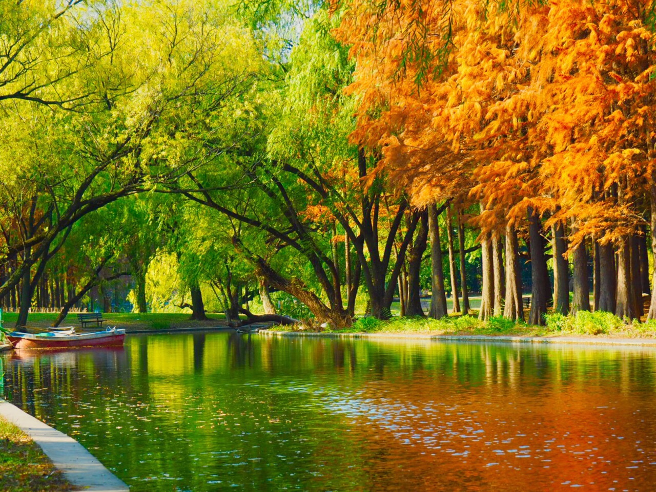 上海的 50 大遊賞秋景好去處