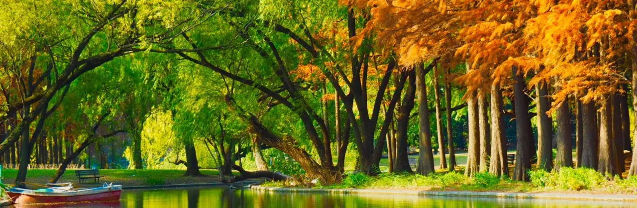 Paysages d’automne