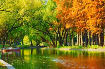 Top 50 Fall Viewing Attractions in Shanghai