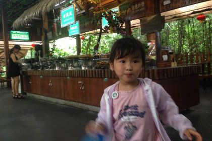 呀诺达雨林食府