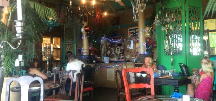 Cape to Cuba - Kalk Bay
