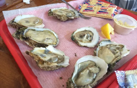 Up the Creek Raw Bar