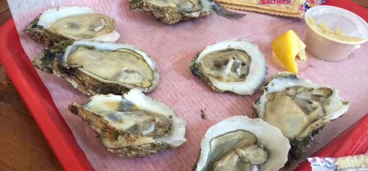 Up the Creek Raw Bar