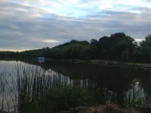 The Wiremill