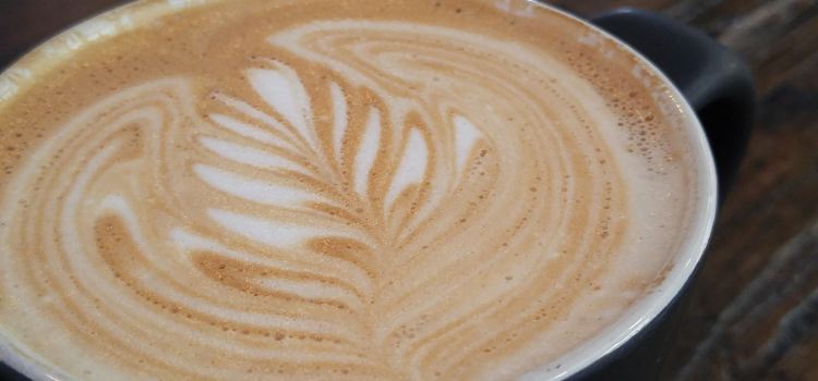 Mugs Cafe | Argenta