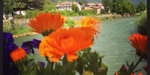 Pupp Konditorei Cafe Eisdiele