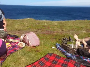 Ferryland Picnics