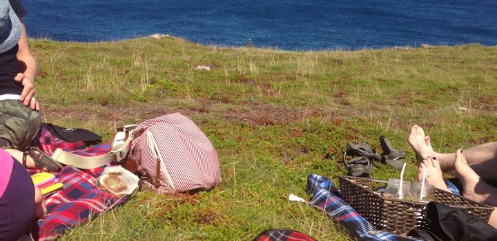 Ferryland Picnics