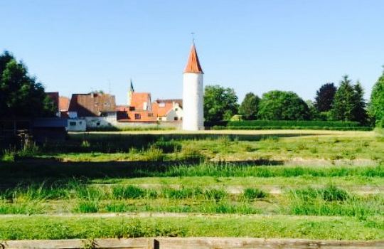 Fischgut Schlossmuhle Restaurant