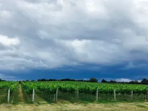 Tallagandra Hill Winery