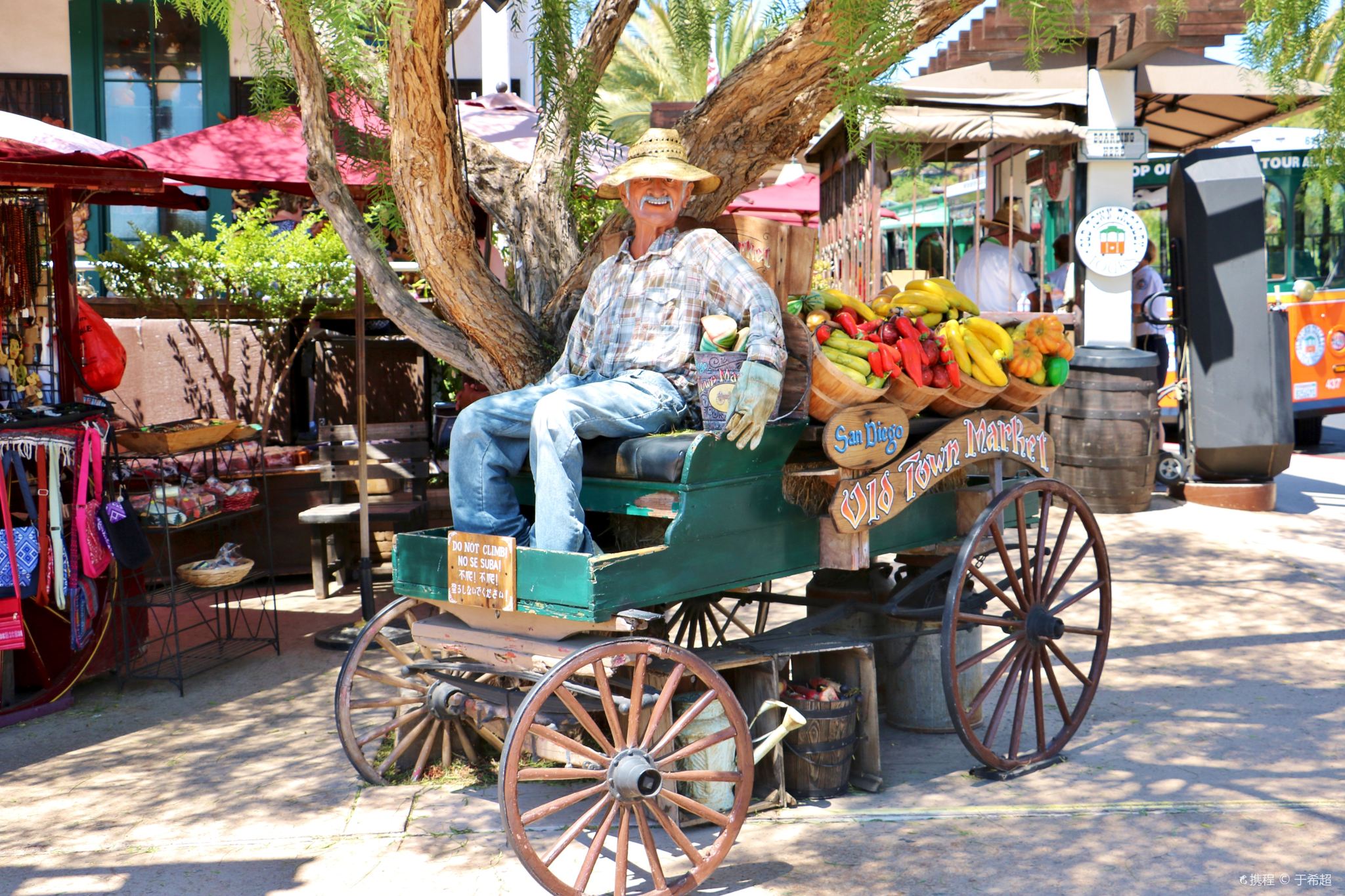 San Diego City 1 Day Tour