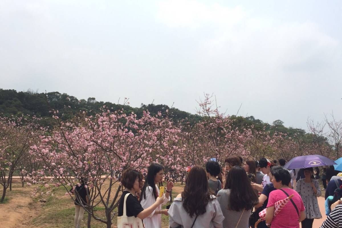十八羅漢山森林公園