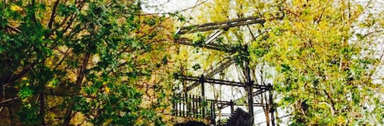 Chez Michel Lebanese retsaurant