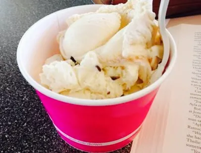 Scoops deli frozen yogurt and ice cream