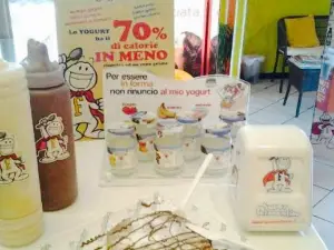 La Yogurteria None