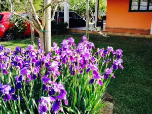 Azienda Agrituristica La Rosa