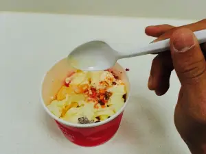 Sincerely Yogurt Robinson