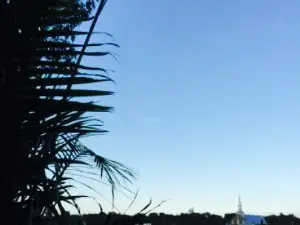 Bleu Moutarde