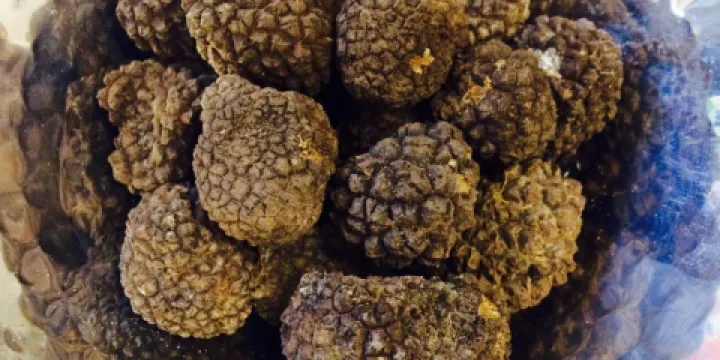 Casa Pettinari Italienische Trattoria