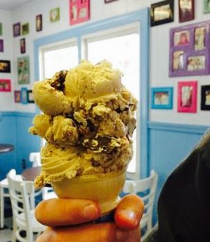 Molly Moo's Ice Cream Parlor