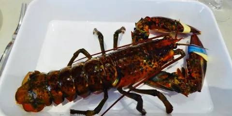 Martin's Visrestaurant