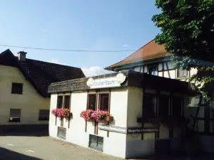 Hotel Gruner Baum