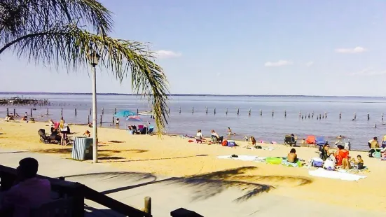 High Tides on The Potomac