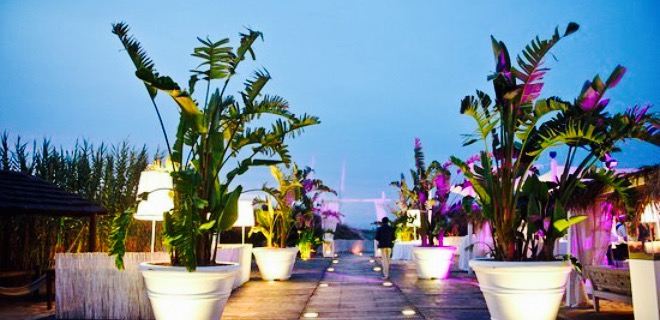 Coccaro Beach Club