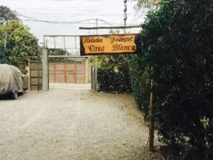 Helados Gourmet Casablanca