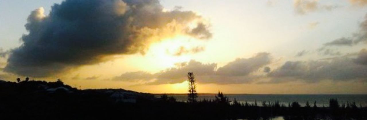 Magnolia Restaurant & Wine Bar