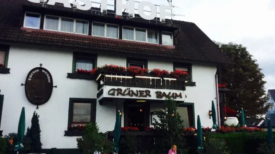 Gasthof Gruner Baum