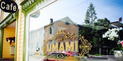 Umami Sjogata