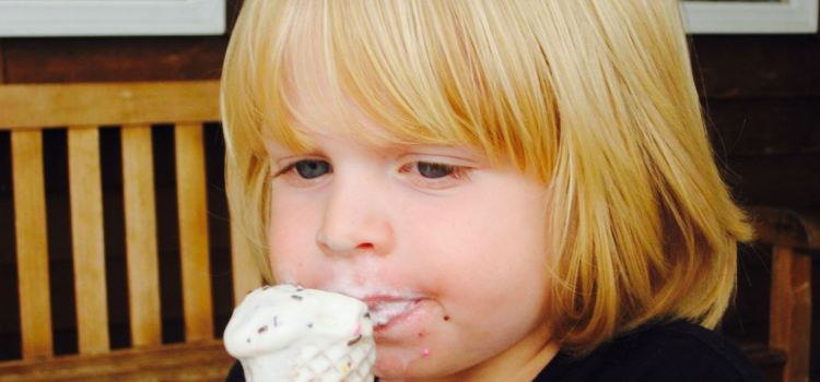Nauset Ice Cream
