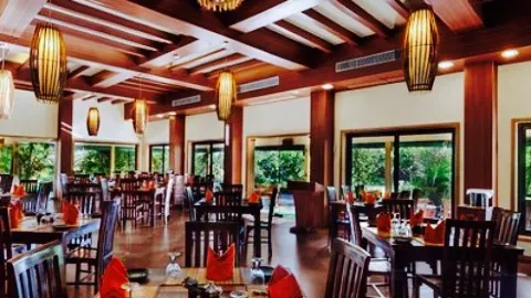 The Banyan Tree in 주나가드