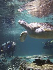 國家水族館巴爾的摩分館