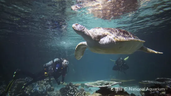 巴爾的摩國家水族館