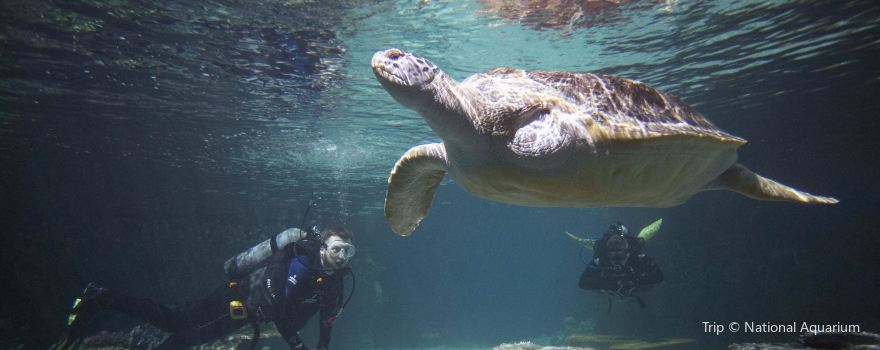 National Aquarium