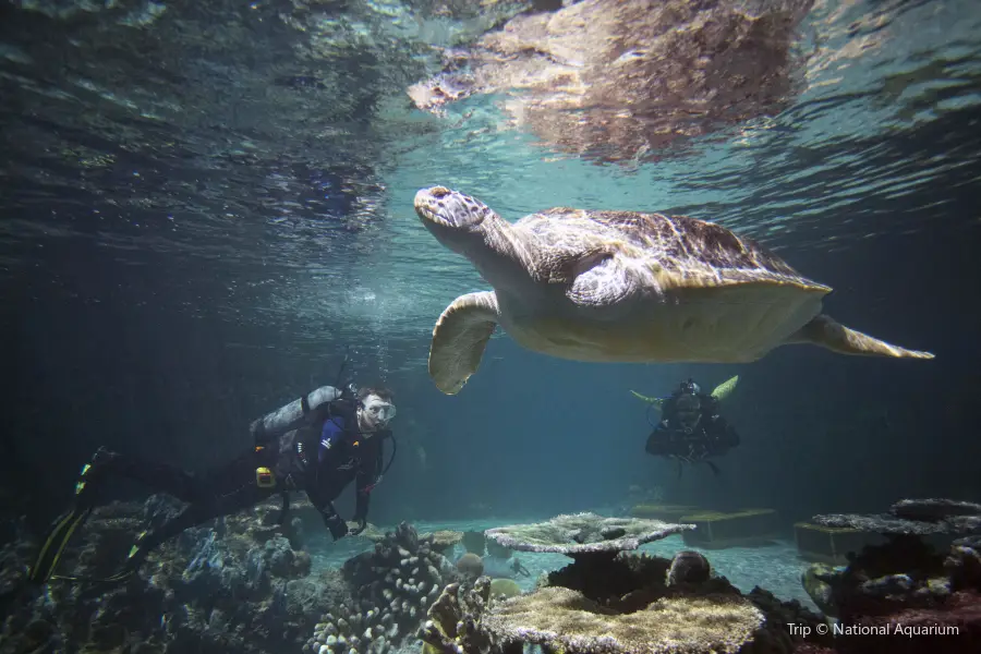 ナショナル水族館