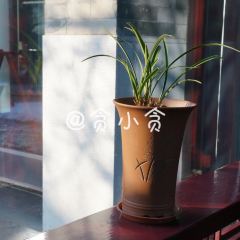 King's Joy User Photo