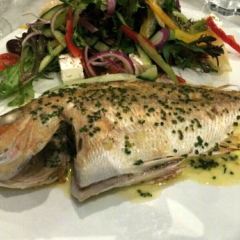 Fish at The Rocks User Photo