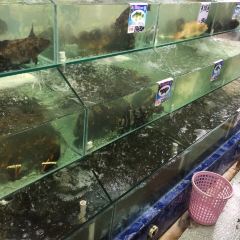 XIAO HAI TUN LIAN SUO HAI XIAN CANTING 여행 사진