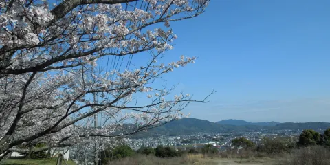 大牟田甘木公園
