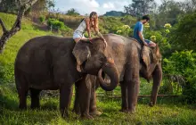 Bali Zoo