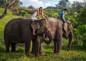 Bali Zoo
