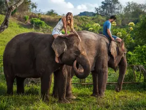 Bali Zoo